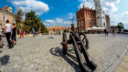 Bielska rzeźba Szpiega z Krainy Deszczowców została zamalowana przez wandali