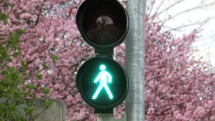 Bielska policja na tropie poprawy bezpieczeństwa pieszych