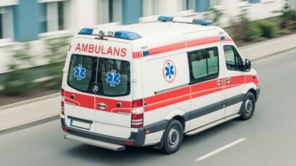 Śmigłowiec LPR interweniuje w Bielsku-Białej: pracownik użądlony przez szerszenia w stanie krytycznym